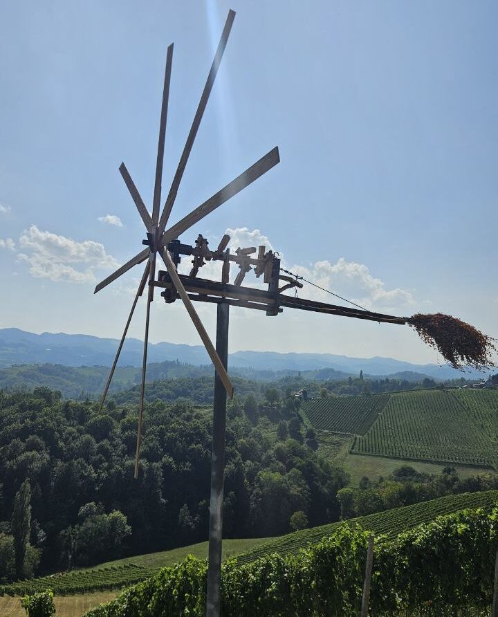 Виноградники Штирії